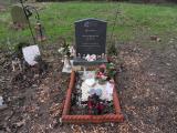 image of grave number 544324